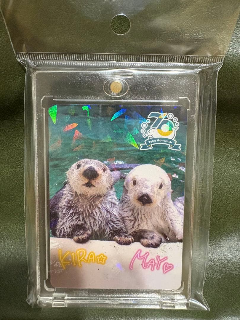 鳥羽水族館　70周年記念　コレクションカード　レアカード　メイ　キラ