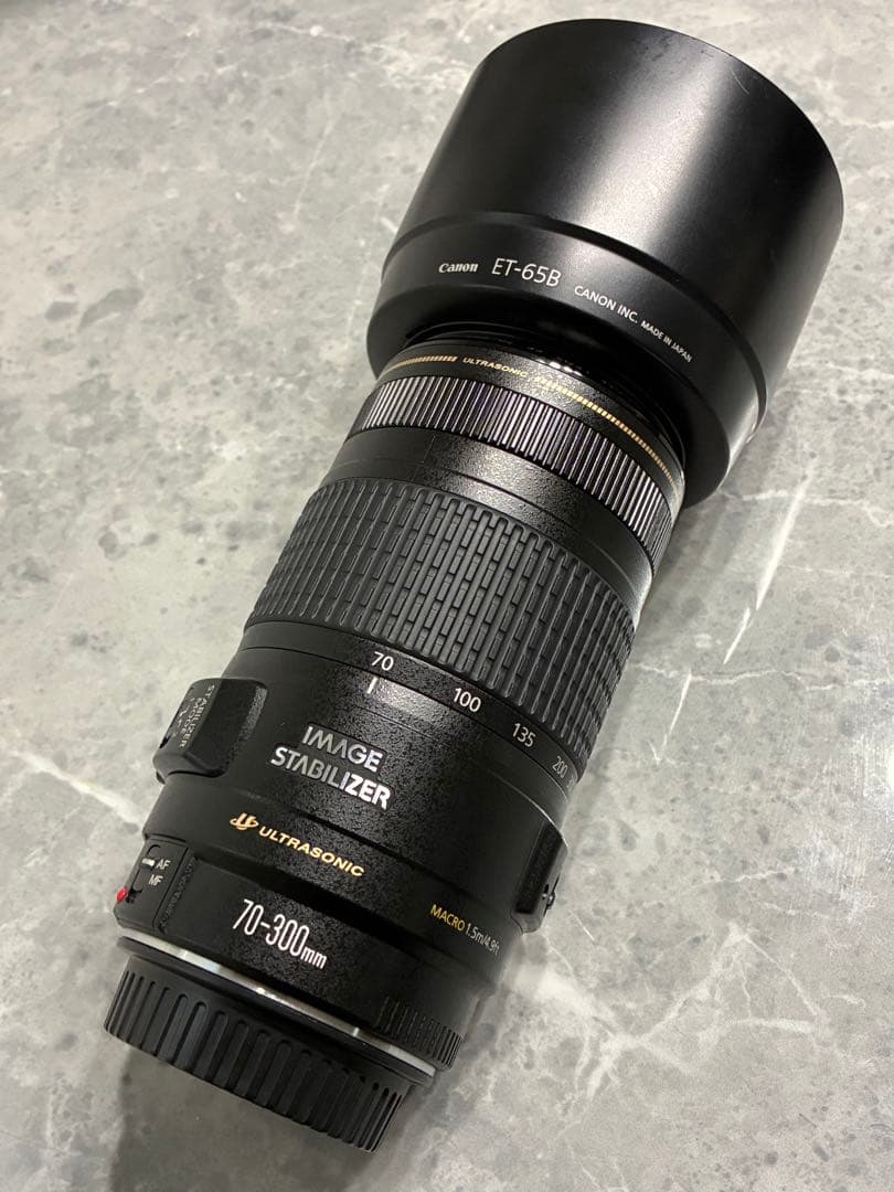 ⭐️極美品⭐️Canon EF70-300mm 4-5.6 IS USM 望遠レンズ