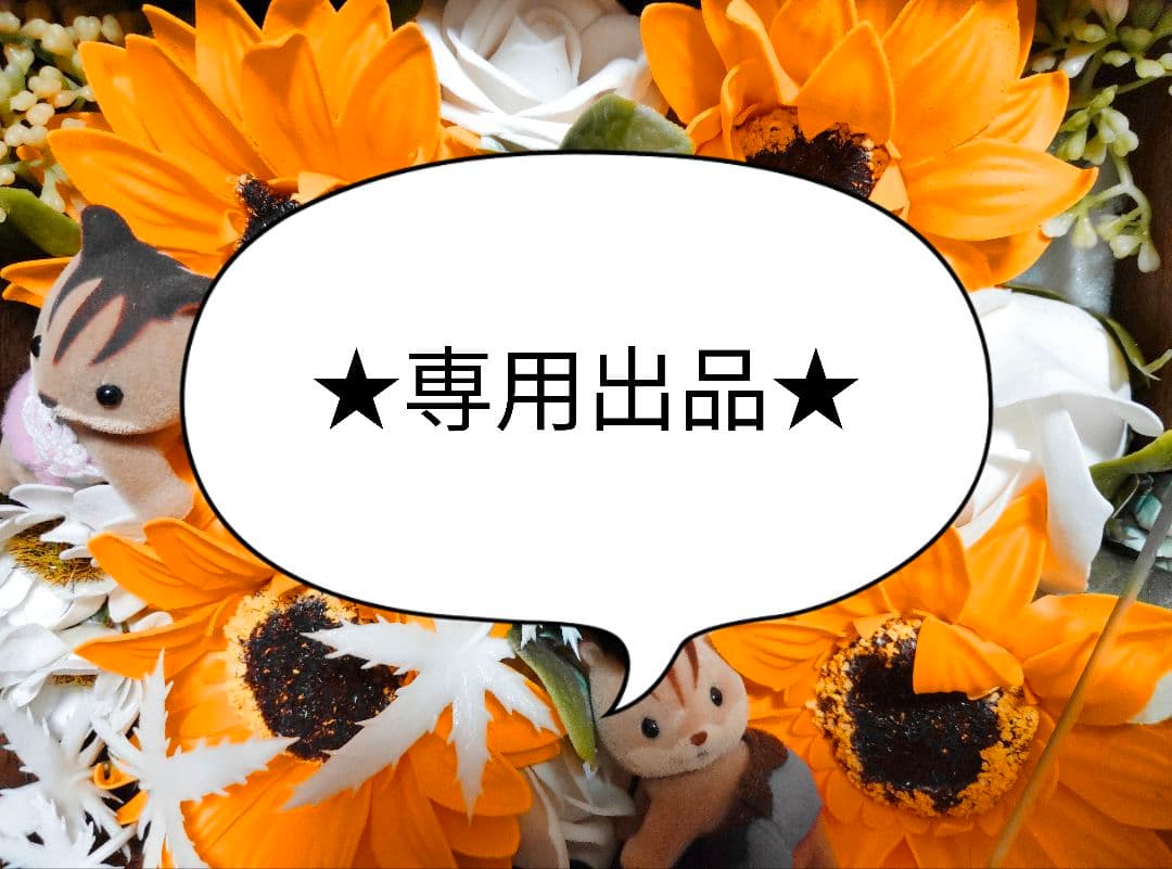 ★専用出品になります★sphmt様