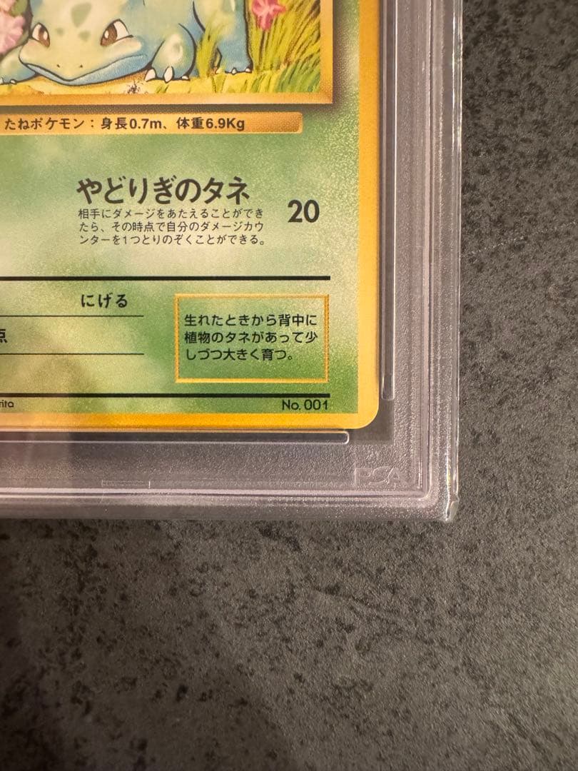 【PSA9 初版】フシギダネ ポケモンカード 旧裏 初版 マークなし