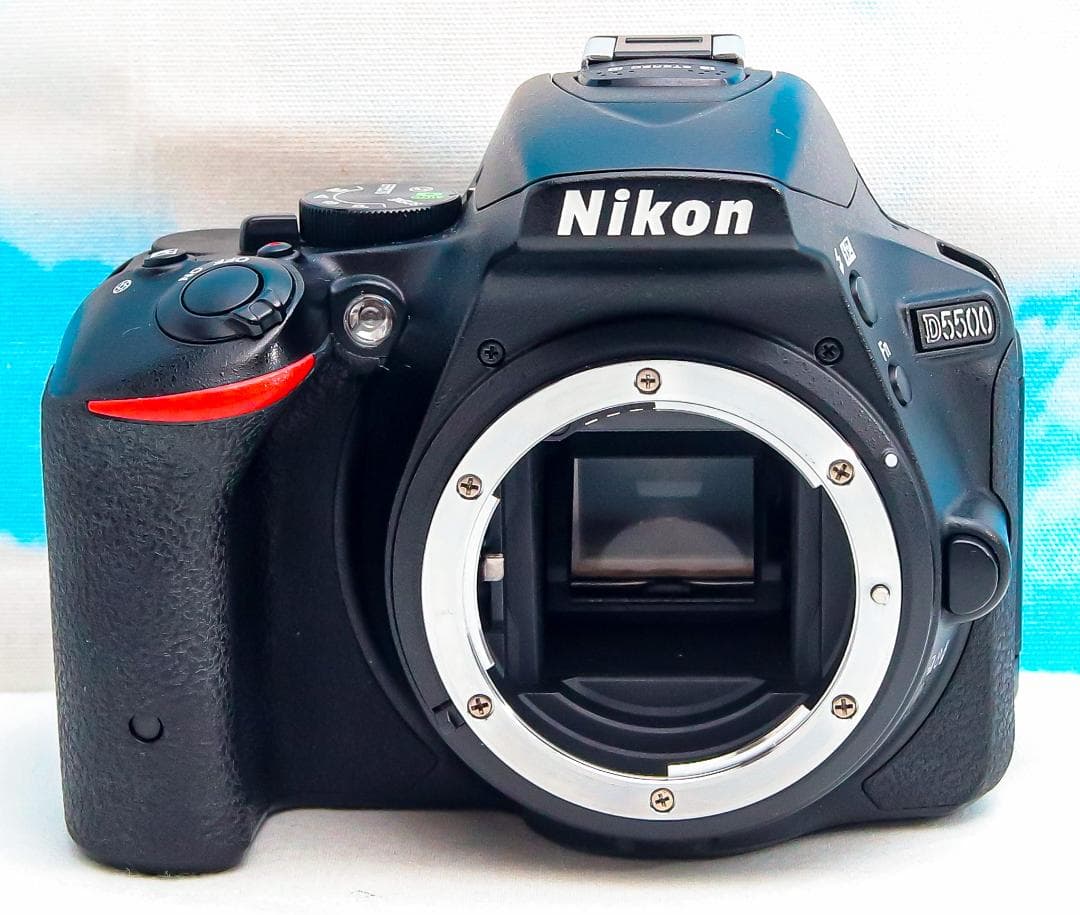 ニコン Nikon D5500⭐️スマホ転送機能付⭐️超高画質2416万画素