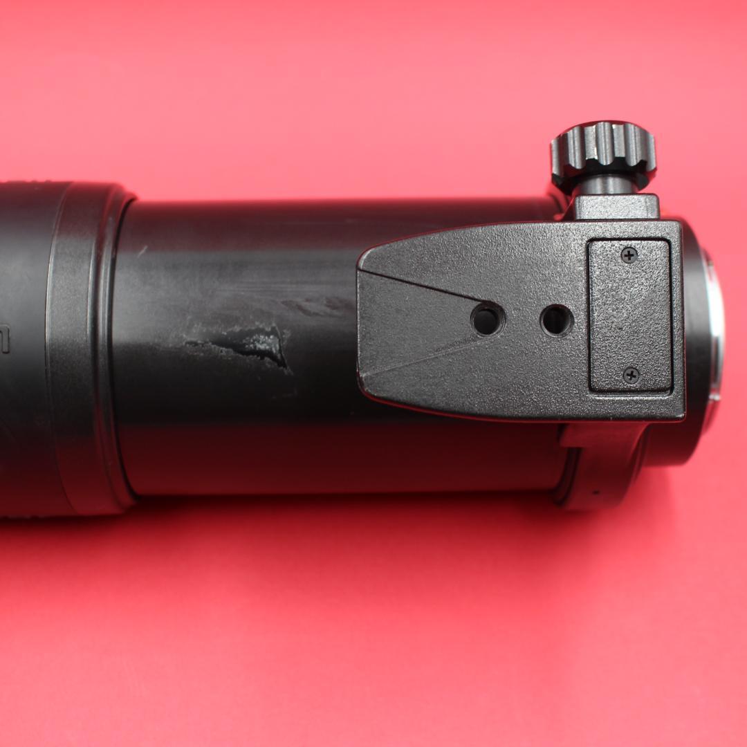 ❤️超望遠❤️TAMRON 200-400mm❤️野鳥・スポーツ撮影❤️