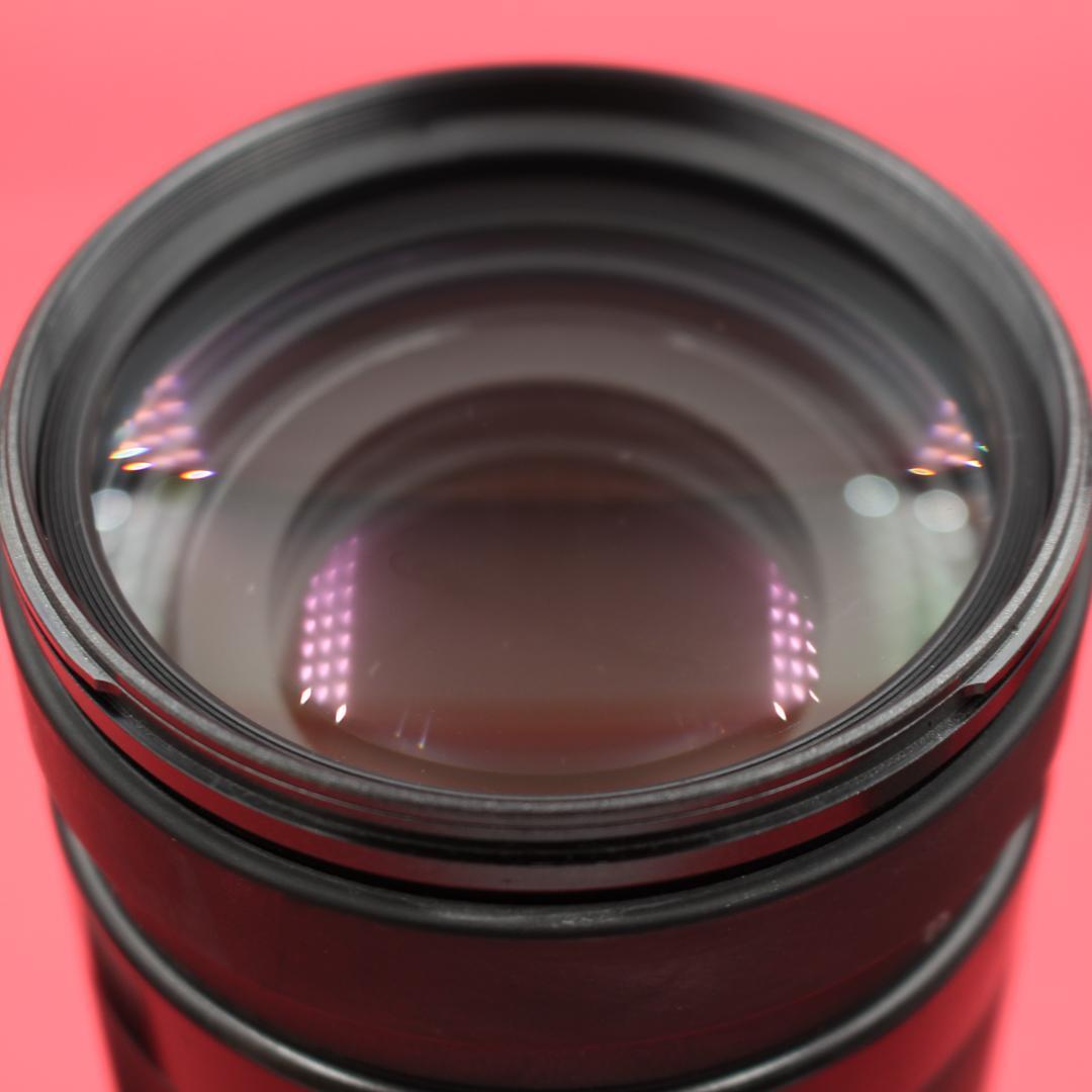 ❤️超望遠❤️TAMRON 200-400mm❤️野鳥・スポーツ撮影❤️