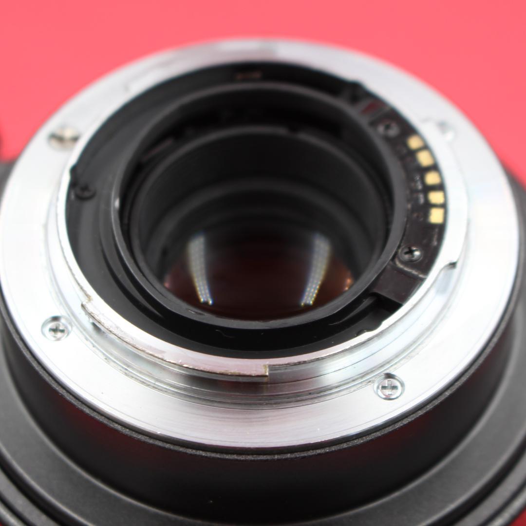 ❤️超望遠❤️TAMRON 200-400mm❤️野鳥・スポーツ撮影❤️