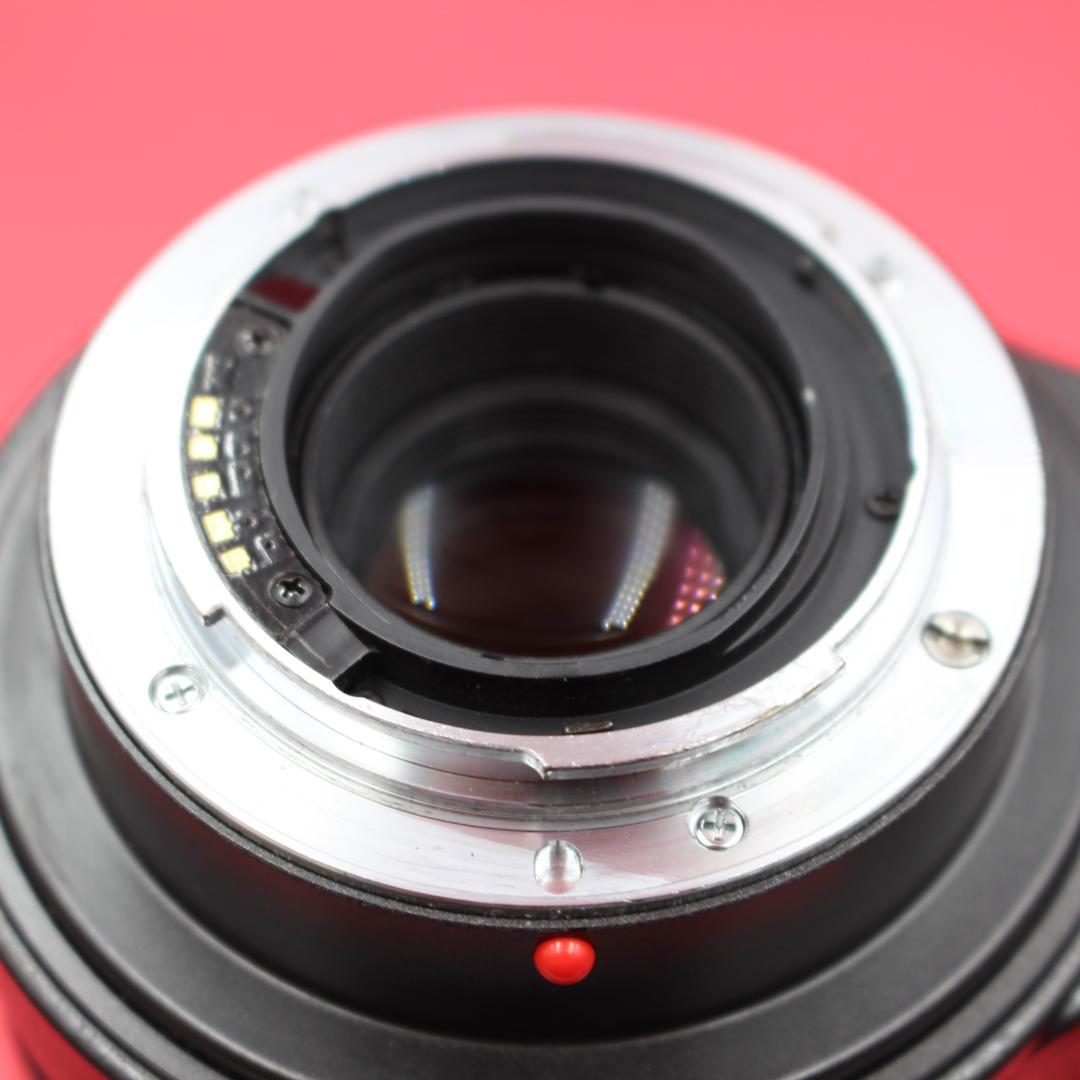 ❤️超望遠❤️TAMRON 200-400mm❤️野鳥・スポーツ撮影❤️