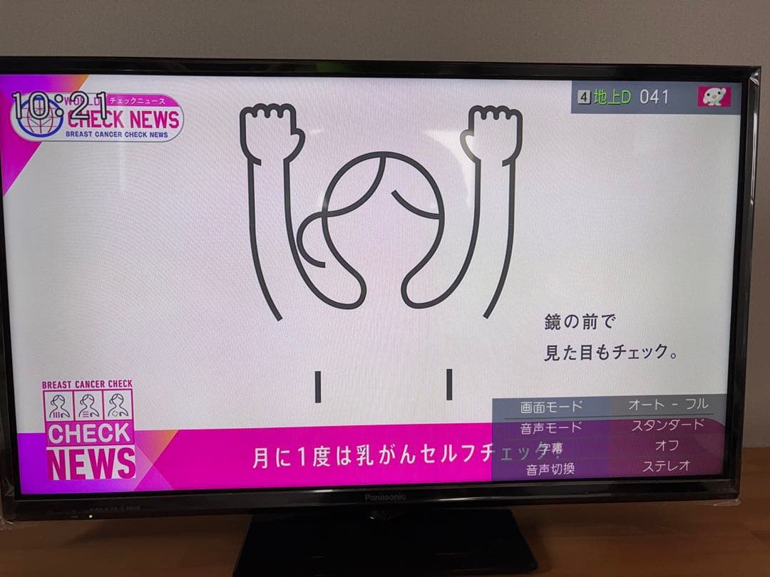 Panasonic TH-32E300 32インチ液晶テレビ