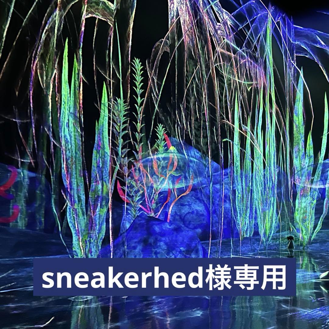 レア Vivienne Westwood ホーンクロウシングルピアス(傷あり)