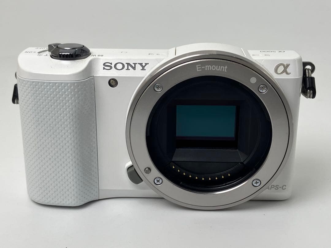 返品保証・動作確認済 SONYα5000+16-50mm 標準ズームレンズキット
