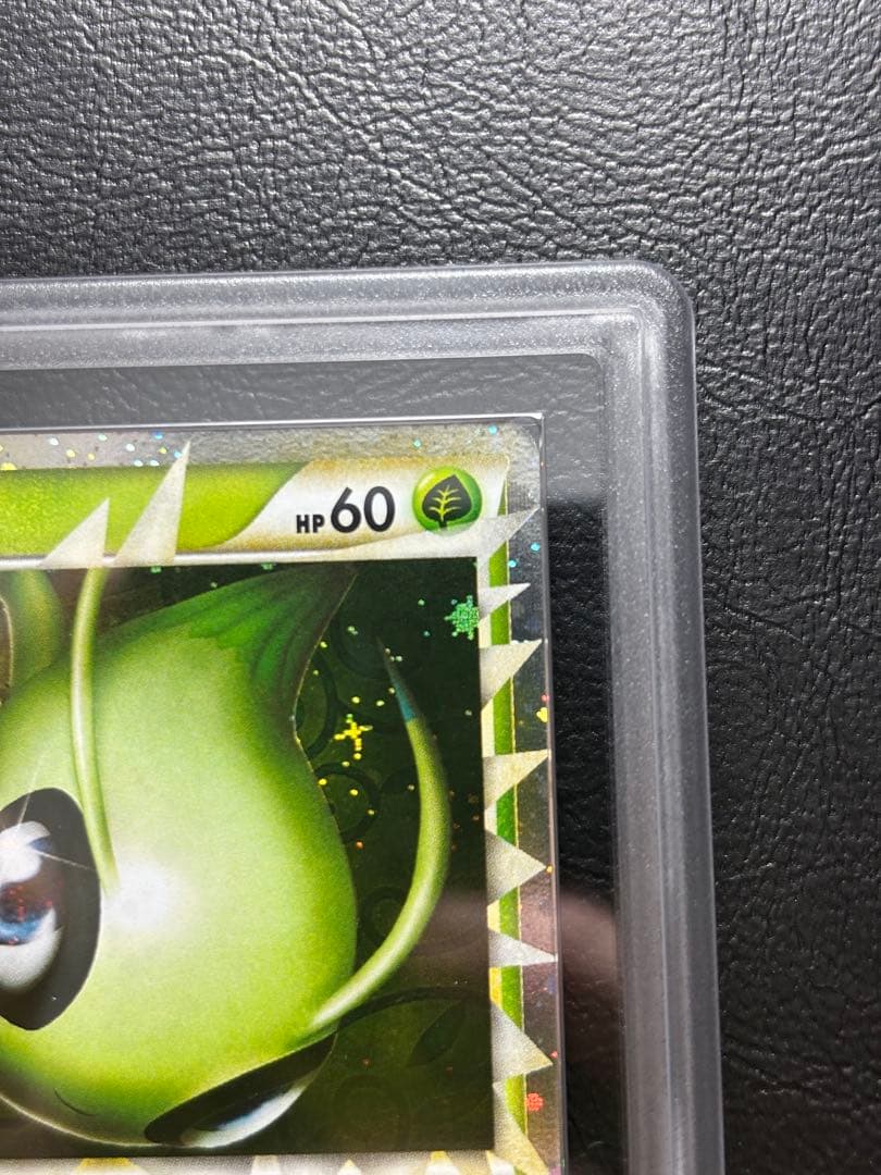 【ARS AU 真贋鑑定】セレビィ グレート 007/080