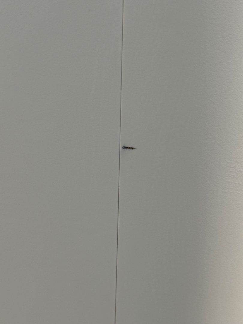 SHARP除加湿空気清浄機「KI-RD50-W」2025年製