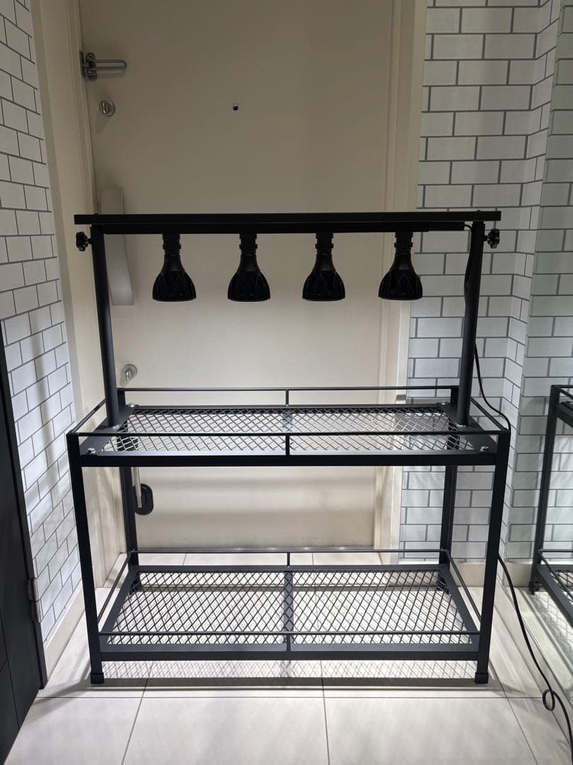 植物棚　アイアン棚　伸縮ライトレール　パキプス　アイアンシェルフ　アガベ