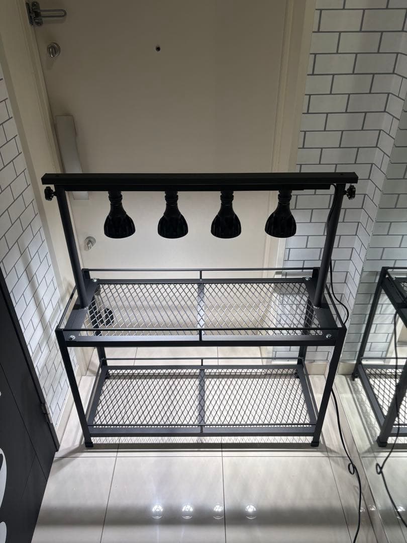 植物棚　アイアン棚　伸縮ライトレール　パキプス　アイアンシェルフ　アガベ