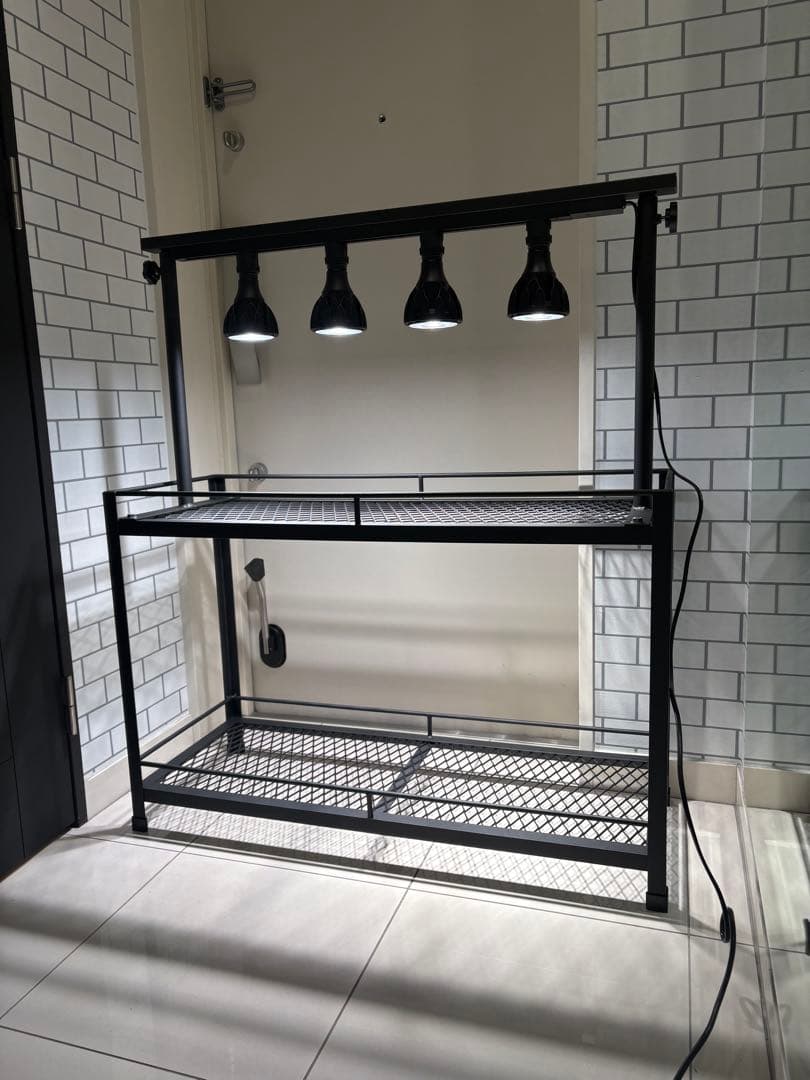 植物棚　アイアン棚　伸縮ライトレール　パキプス　アイアンシェルフ　アガベ