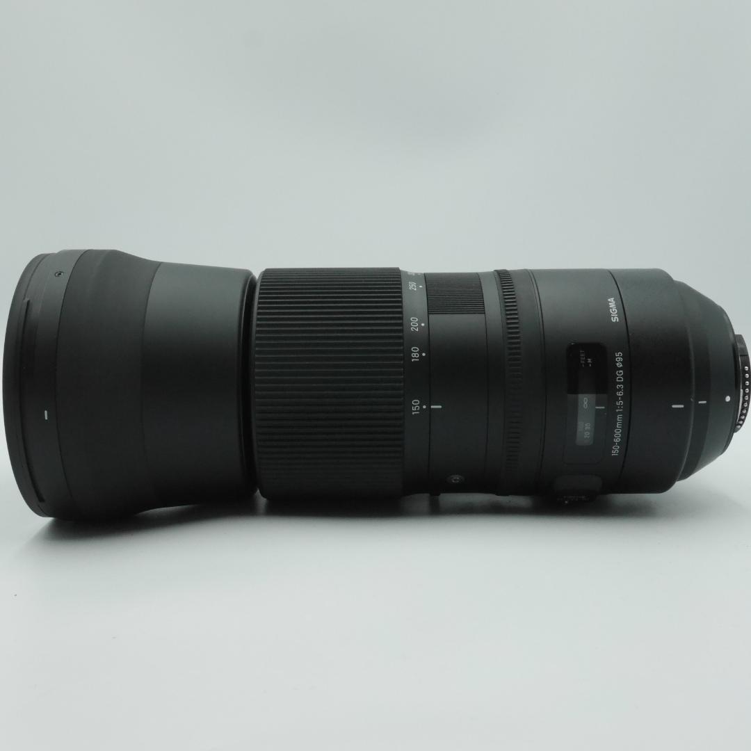 サウスゲート様 シグマ 150-600mm F5-6.3