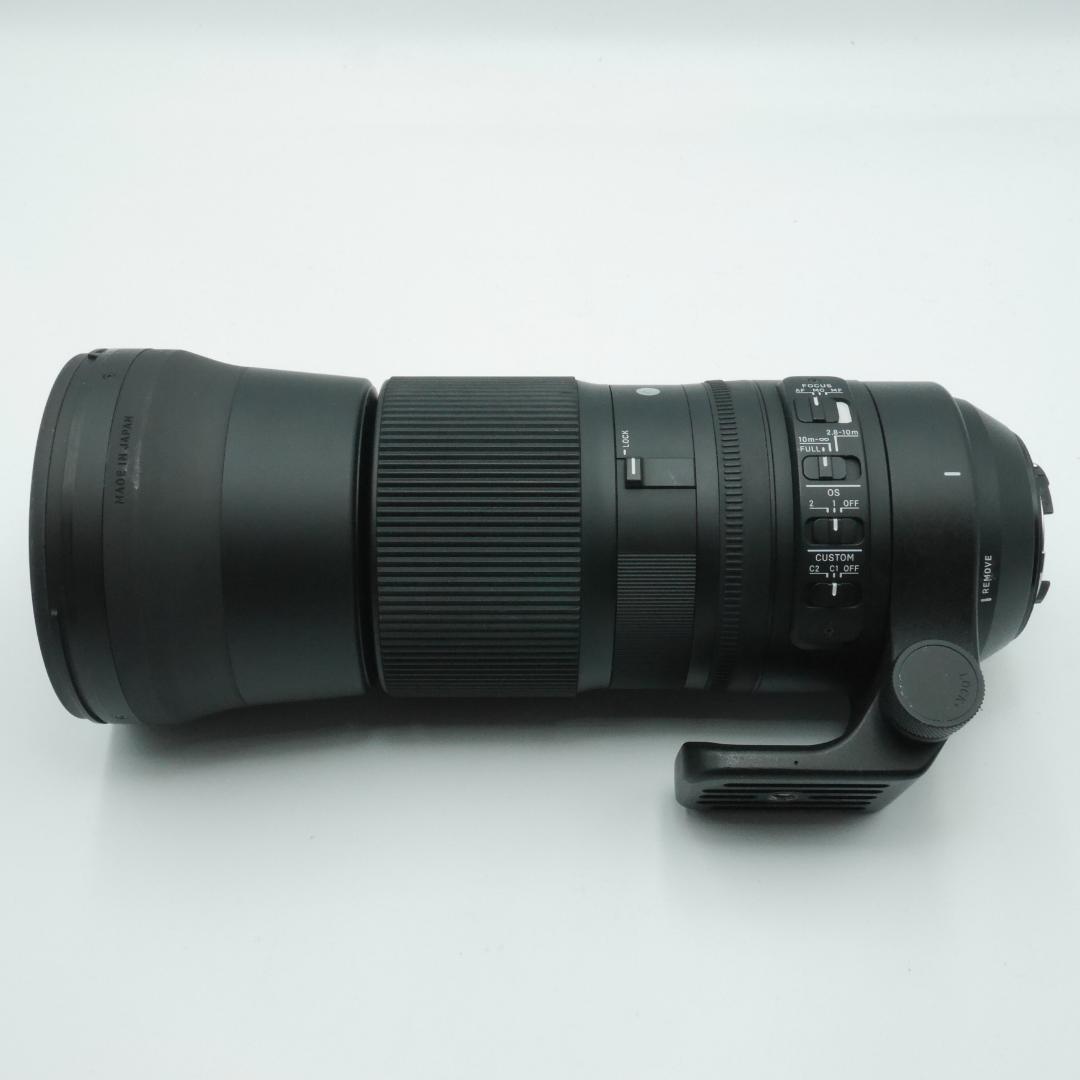 サウスゲート様 シグマ 150-600mm F5-6.3