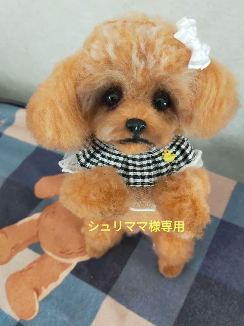 シュリママ♡トイプードルちゃんちょうだいポーズ。直立。おまけ付き♡