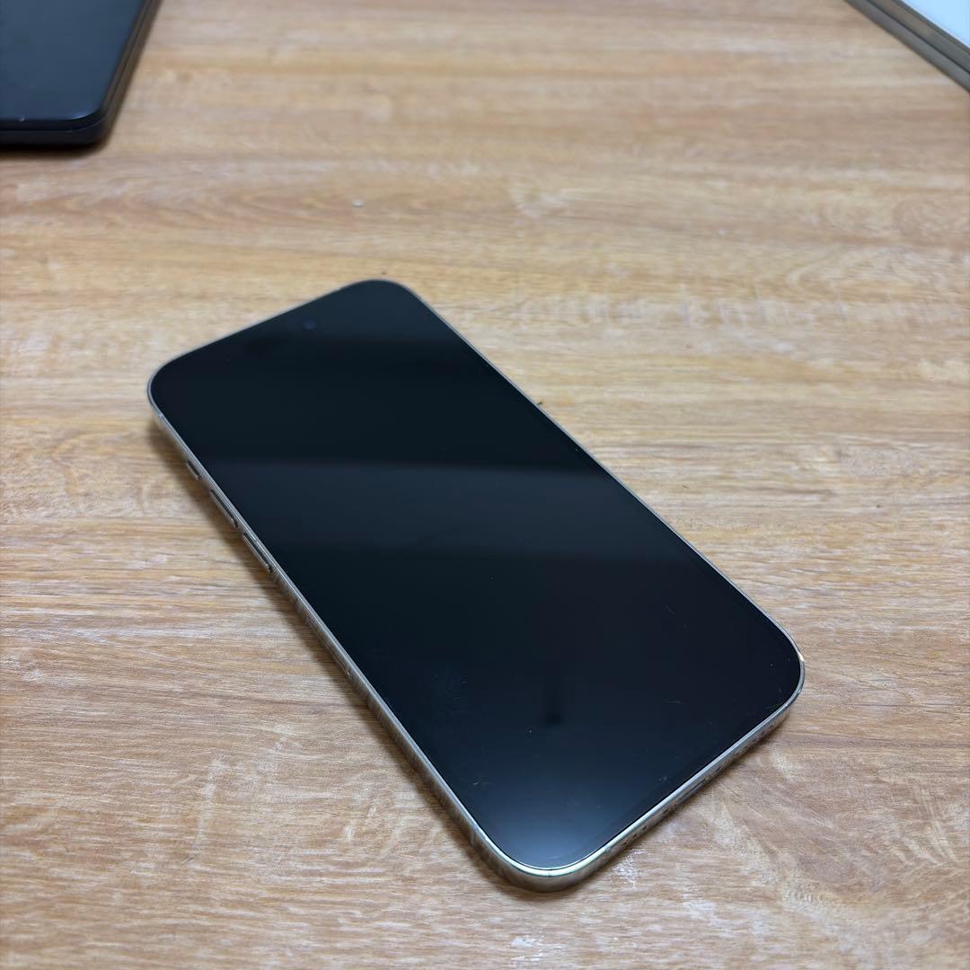 【最終価格】 Apple iPhone 14 Pro シルバー 256GB
