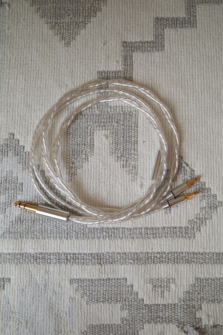 Final D8000 + C093シルバーコートケーブル + キャリーケース