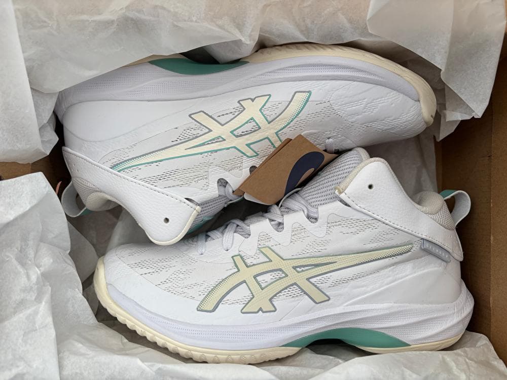 ASICS バスケットボールシューズ GELHOOP V17