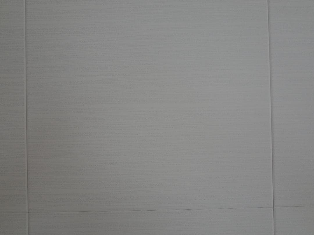 リコー RICOH GR 初代　 中古 ショット数1876回