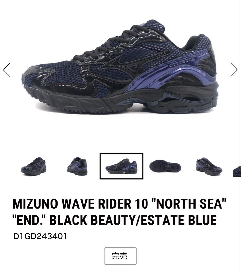 MIZUNO WAVE RIDER10 END. 26.5 美品