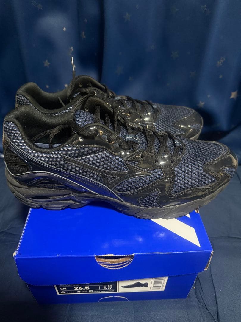 MIZUNO WAVE RIDER10 END. 26.5 美品