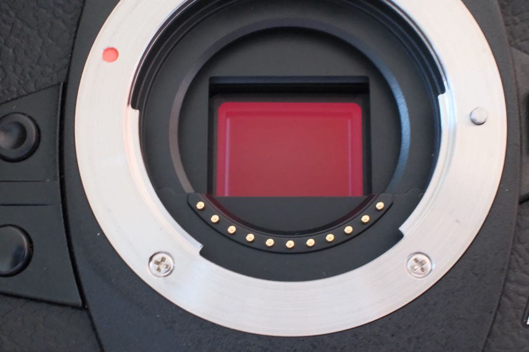 1400ショット ★OLYMPUS OM-D E-M1 MarkIII ボディー