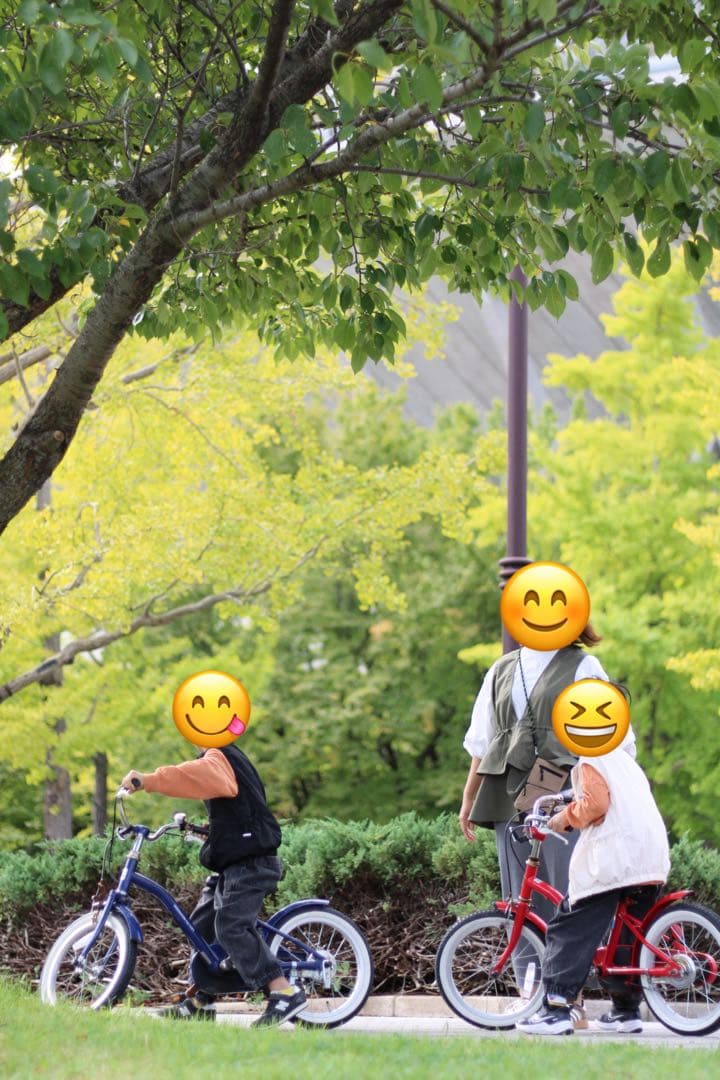 EF-S24mm f2.8 STM キャノン用　パンケーキレンズ