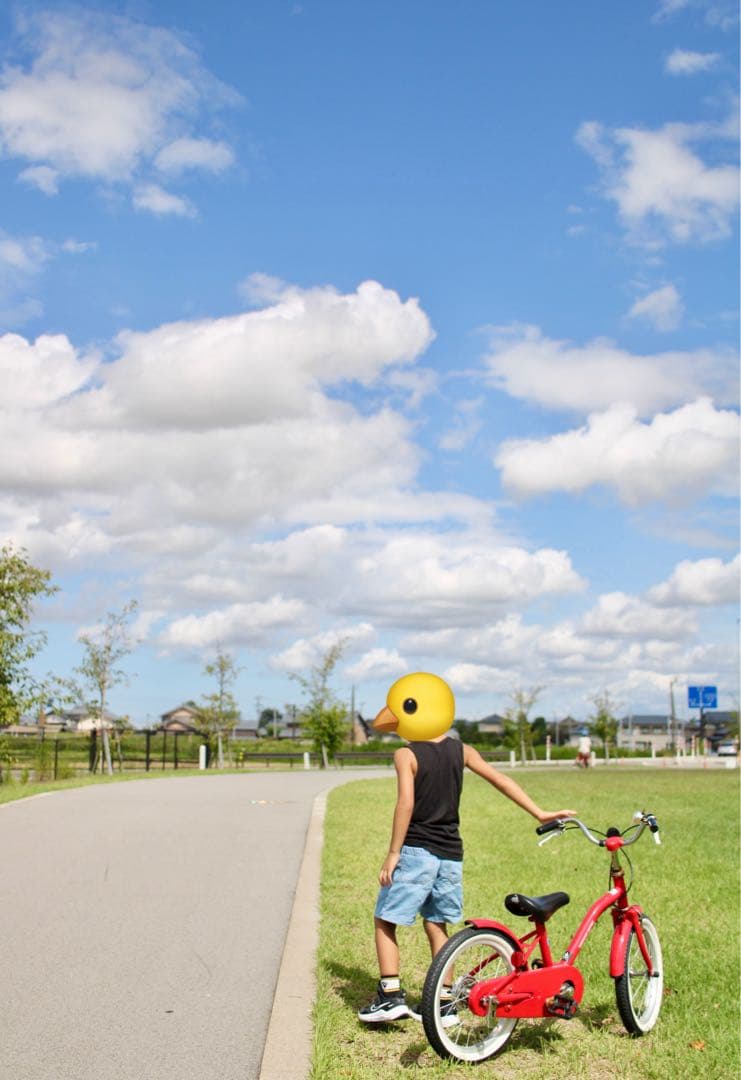 EF-S24mm f2.8 STM キャノン用　パンケーキレンズ