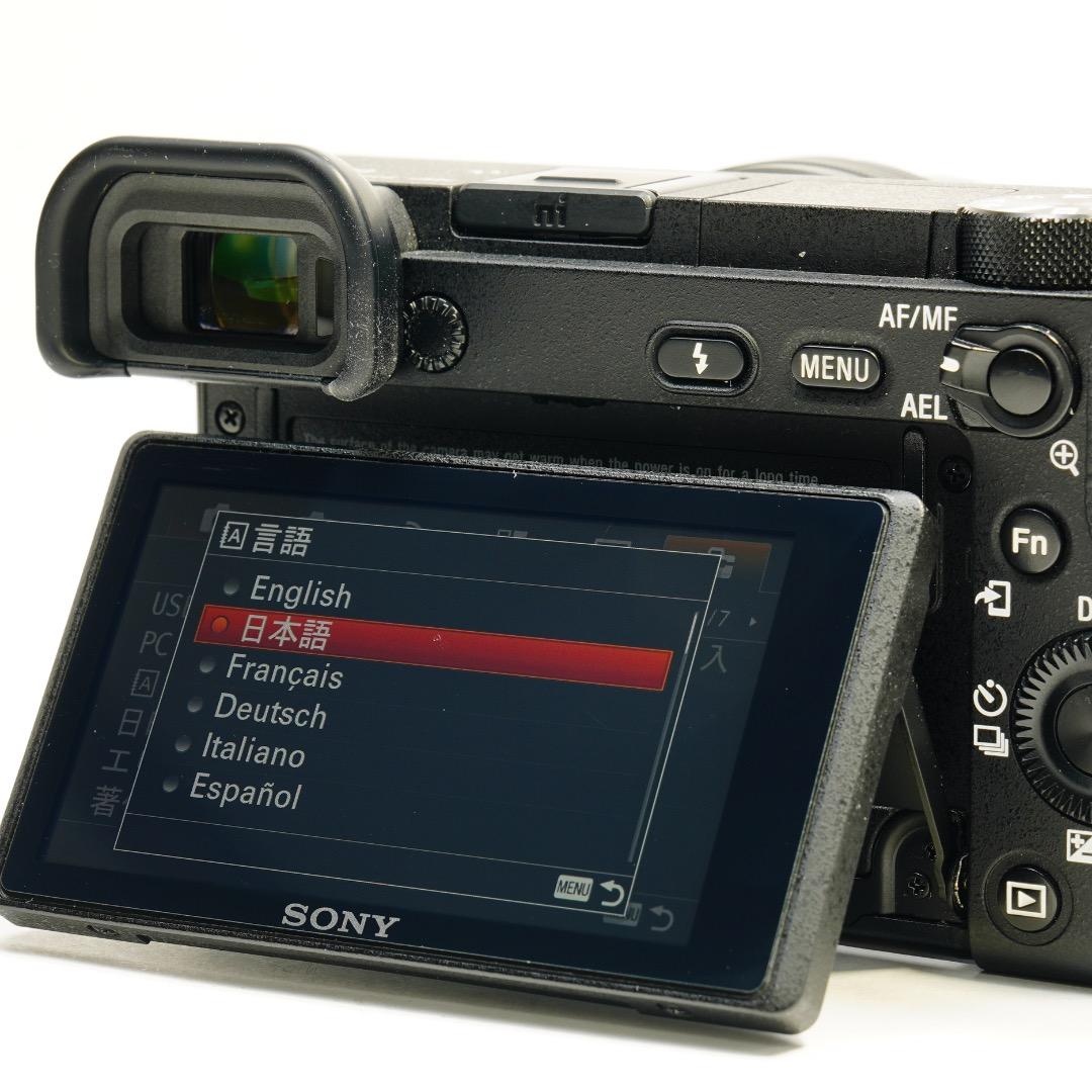 SONY α6500 極上美品 4K動画 レザーケース付 完全装備セット