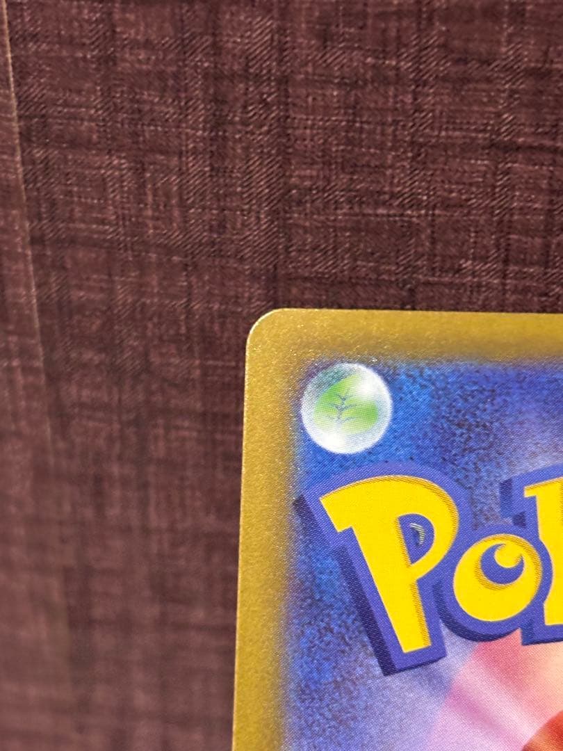 ポケモンカード　メガジガルデex SAR