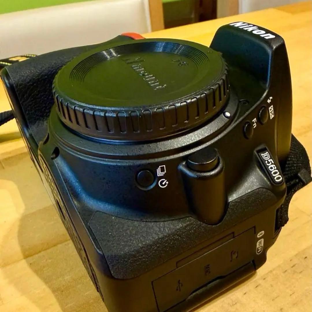 【ショット数 866枚】Nikon D5600 18-55 VR レンズキット