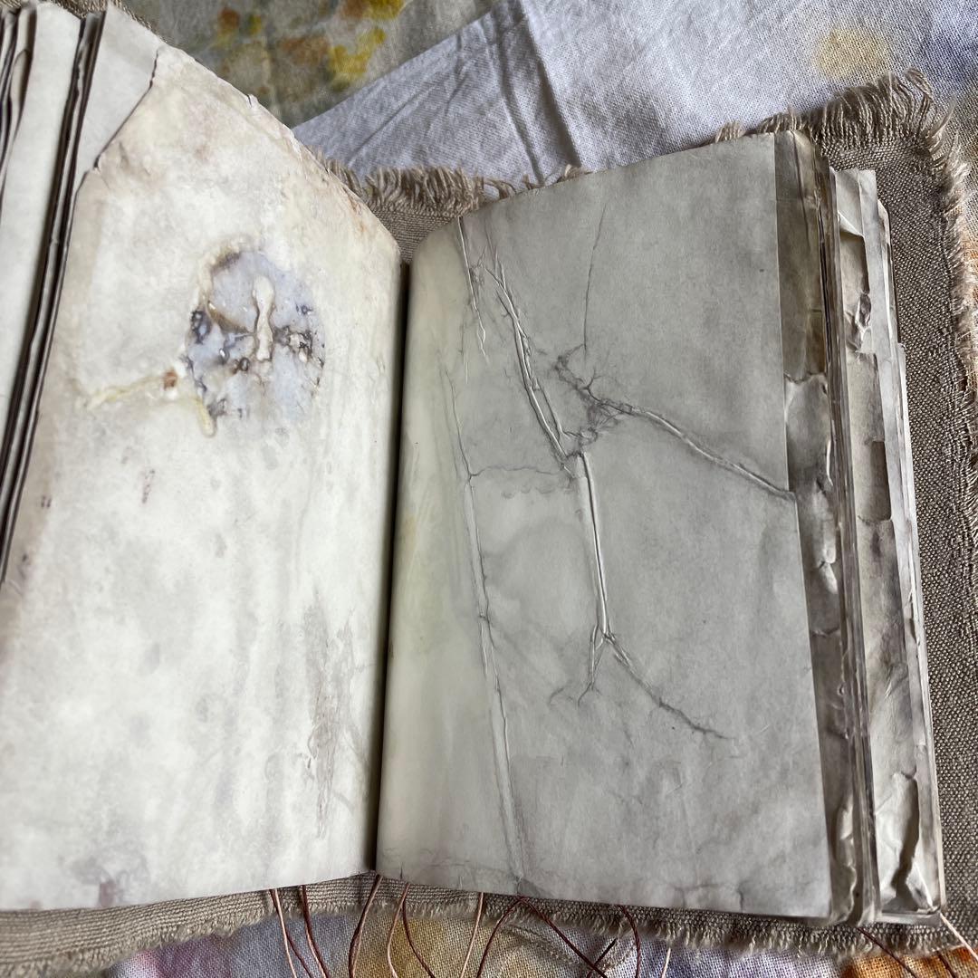 7月20日　ぱおら様2冊　「花ゲリラの本」　 「襤褸の本13〜路地裏の本2〜」