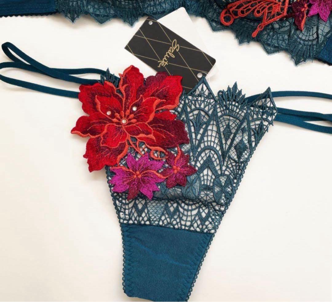 ワコール/サルート 72G 新品タグ付 P-upブラソング BS C70