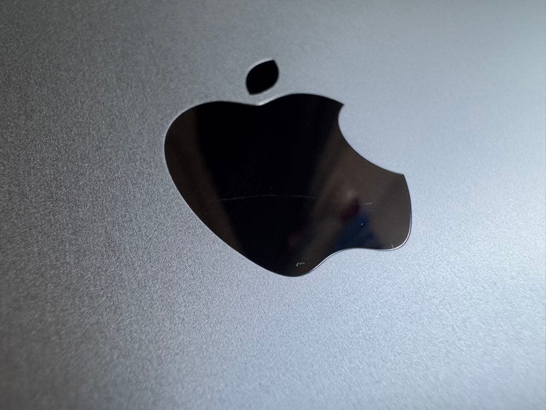 iPad Pro 12.9 第4世代 256 GB Wi-Fi グレイ