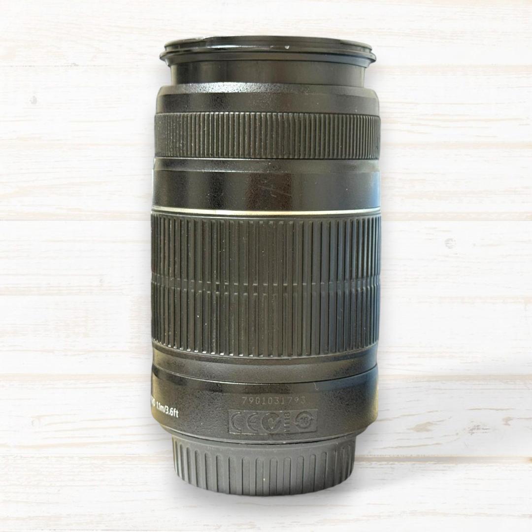 Canon ズームレンズ EF-S 55-250mm IS Ⅱ #91