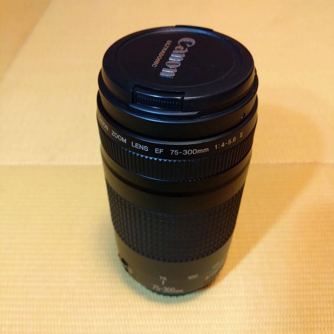 Canon EF 75-300mm 望遠ズームレンズ