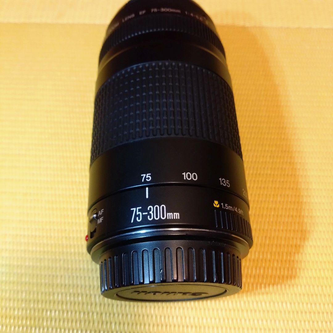 Canon EF 75-300mm 望遠ズームレンズ