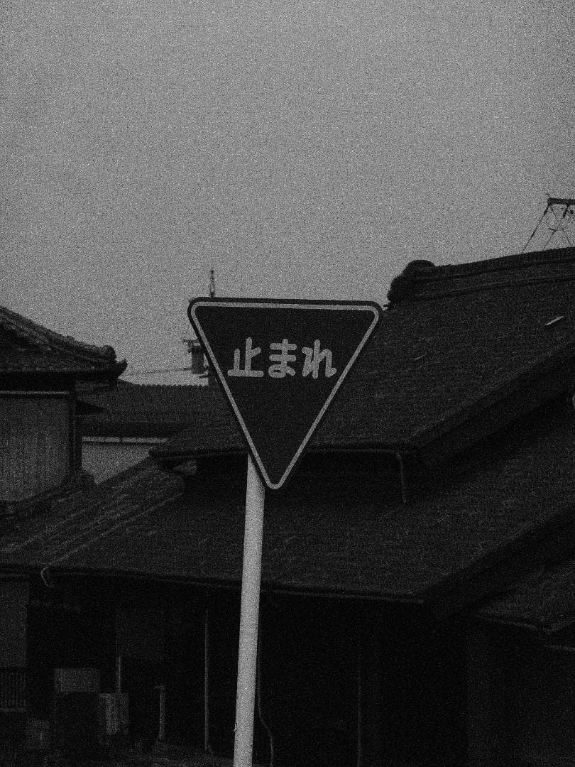 Panasonic LUMIX TZ10 デジタルカメラ