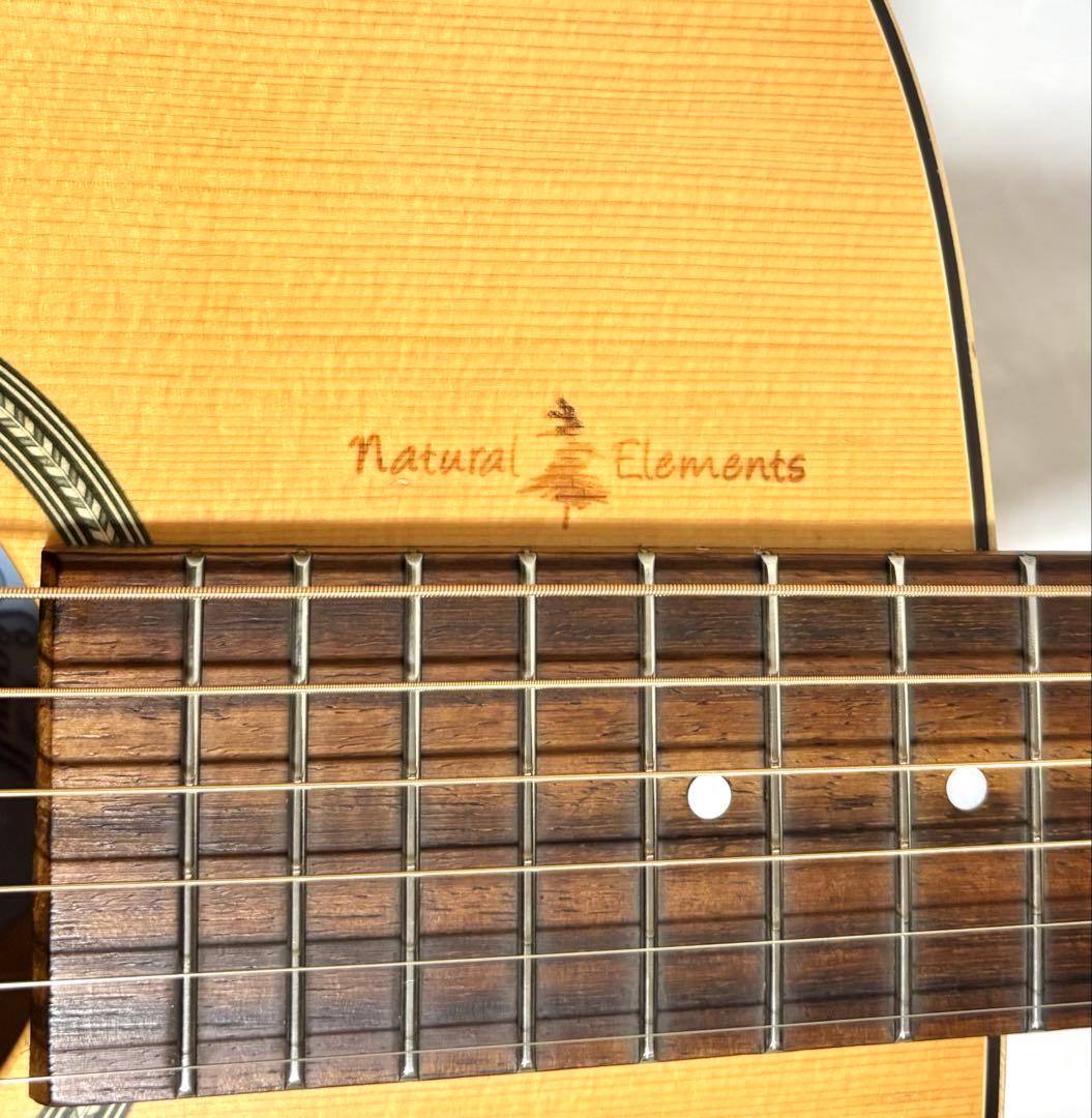 【新品弦張替済】Seagull エレアコ Amber Trail SG T35