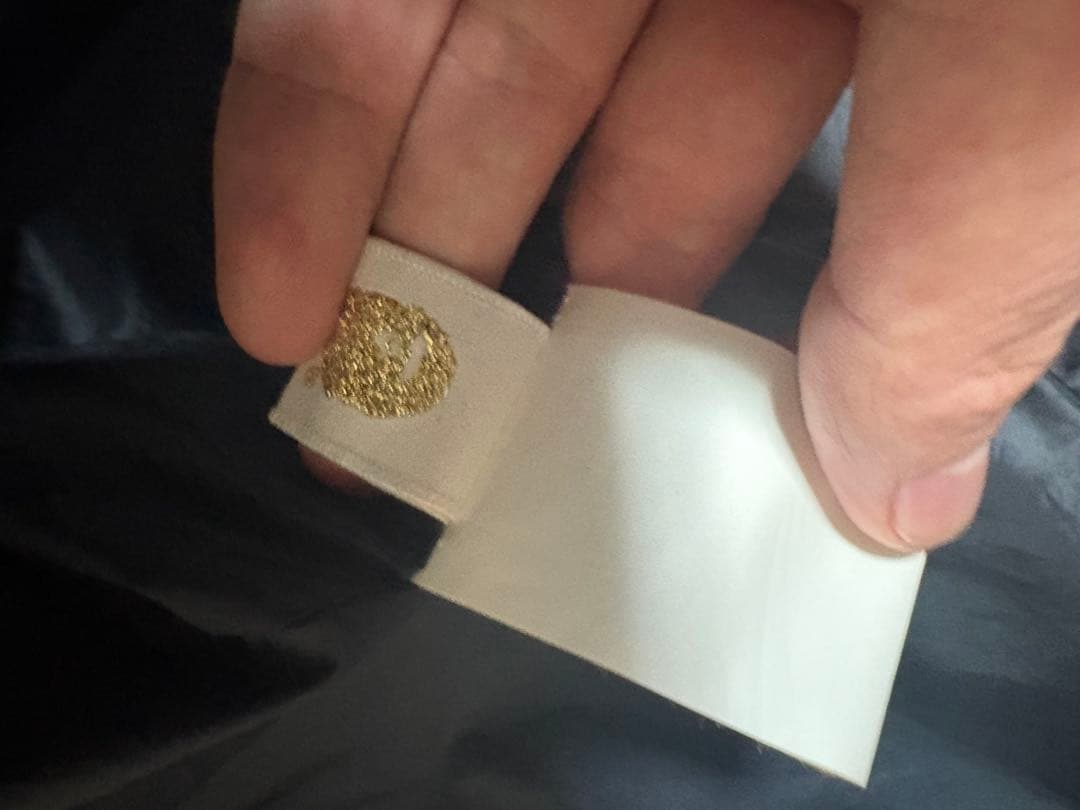 A BATHING APEナイロンマウンテンパーカースノボジャケット型 Bape