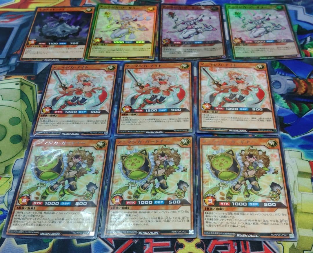 遊戯王　アニマジカ　デッキ　構築済み