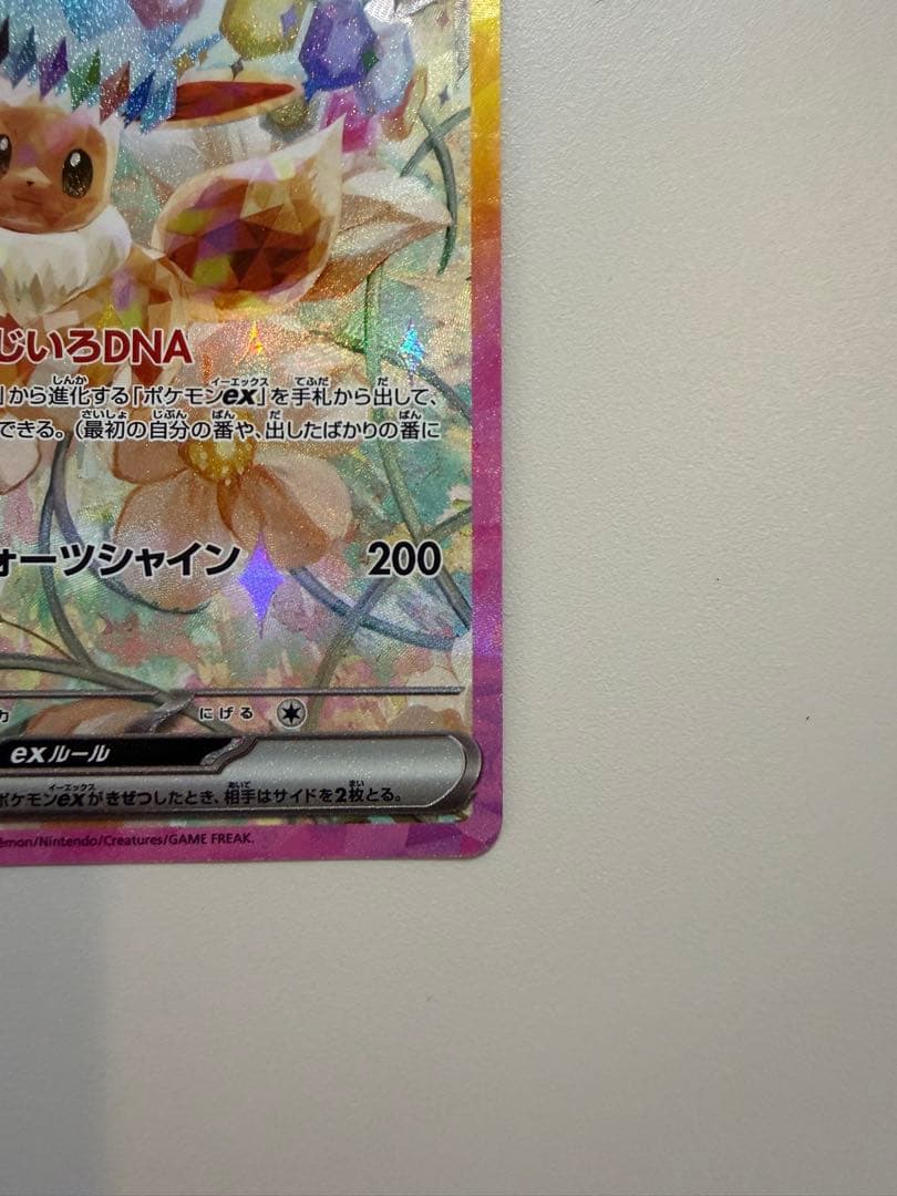 ニンフィアex SAR & イーブイex SAR【2枚セット】