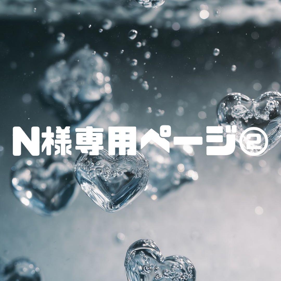 N様お見積もりページ②