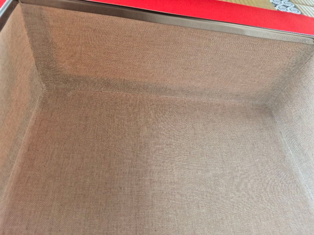 グローブトロッター「サファリ」エアキャビン