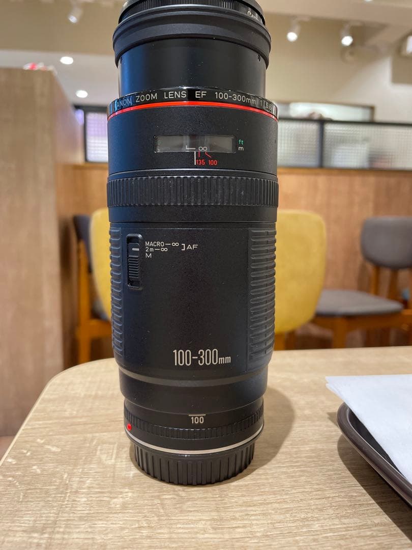 レンズ(ズーム) EF 100-300mm f5.6L