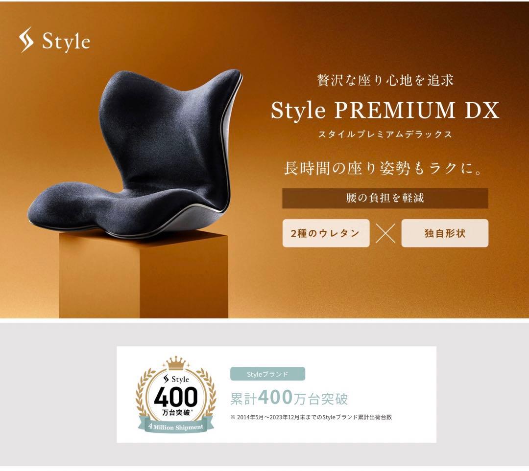 超美品✨MTG Style PREMIUM DX&姿勢サポートチェア　2個セット