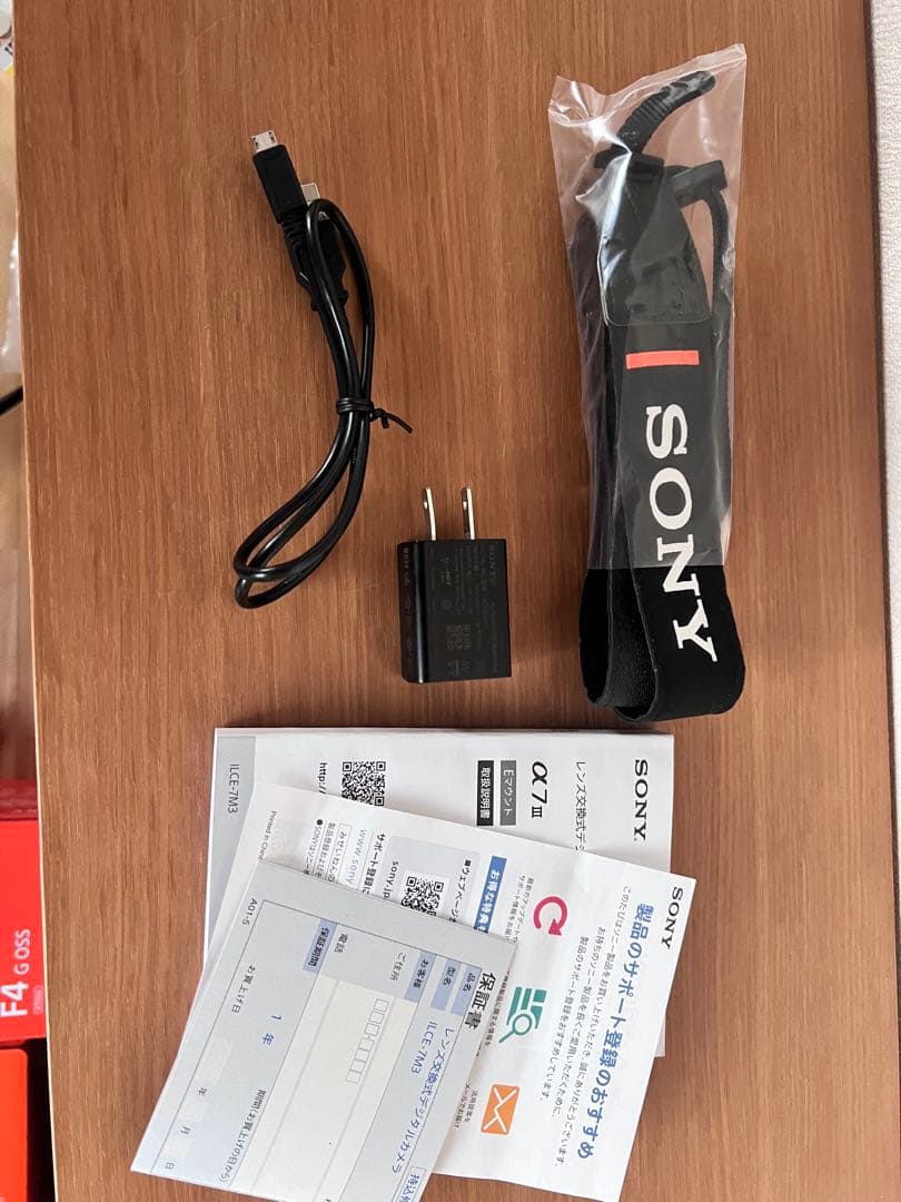 【シャッター数4157回】Sony α7 III 24-105mm & 20mm