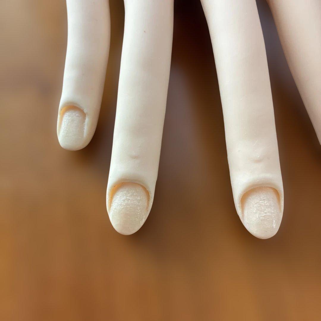 ネイリスト技能検定試験用JNEC認定モデルハンド チップ・シール付