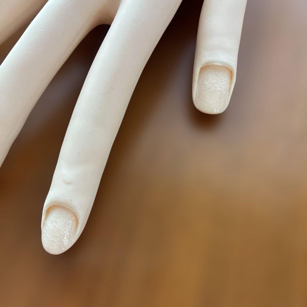 ネイリスト技能検定試験用JNEC認定モデルハンド チップ・シール付